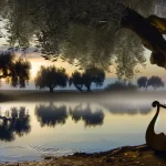 National Association of Christian Ministers